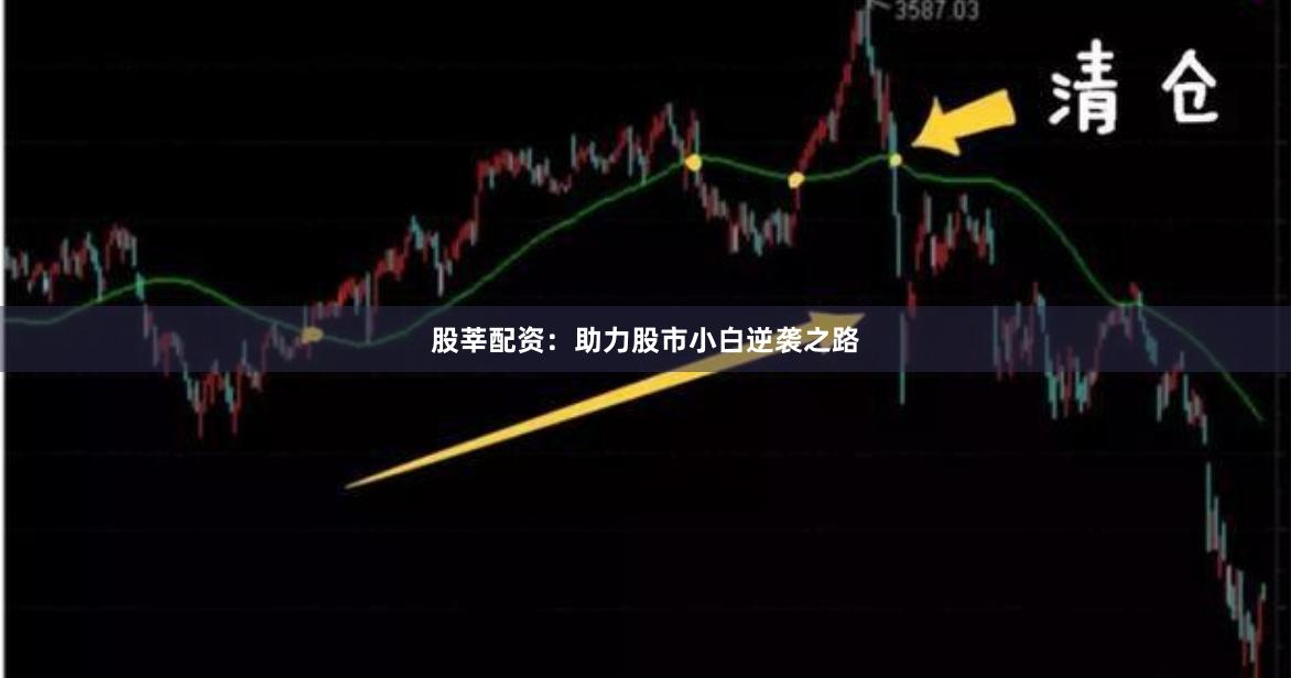 股莘配资：助力股市小白逆袭之路
